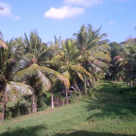 Dewa House Bisma Hotel Ubud  Exterior photo